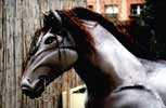 costume cheval