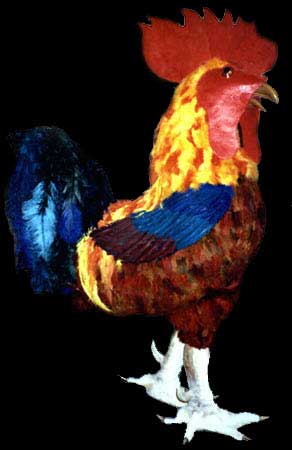 costume de coq